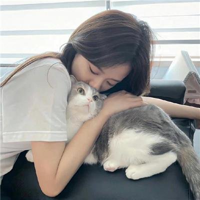 合金杀手